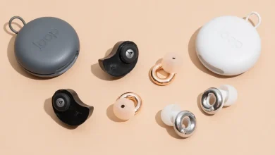 3 Best Earplugs for Concerts 2026