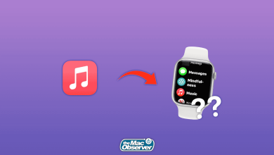 Apple Watch stops playing music