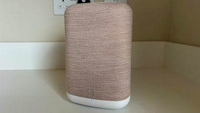 Front view of the Bluesound Pulse Flex 2025 wireless speaker