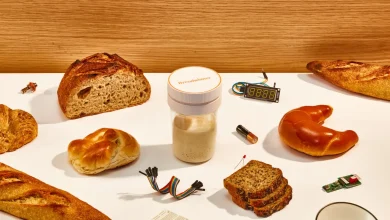 Breadwinner Starts Pre-Sales of Its Sourdough Starter Monitoring Tool