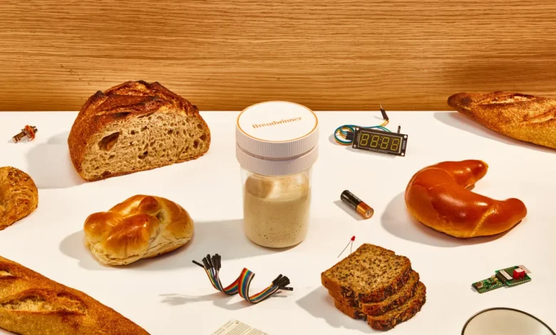 Breadwinner Starts Pre-Sales of Its Sourdough Starter Monitoring Tool