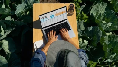 "Daylight" display: solar powered screens