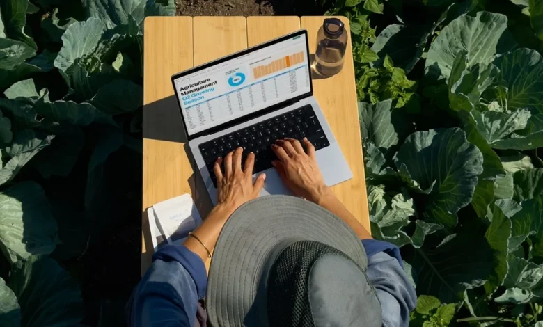 "Daylight" display: solar powered screens