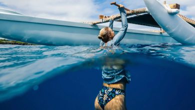 Patagonia Spring 2026 colours announced