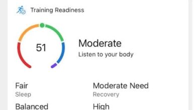 Garmin Connect battery status