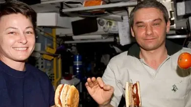 Make Alcohol From Astronaut Breath? Yes. Here are the Winners of Phase 2 of the Deep Space Food Challenge