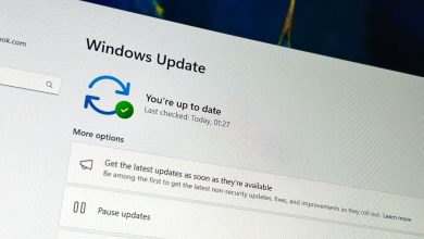 Microsoft is splitting up Windows 11's highly anticipated preview channel twice as it begins testing the next major OS platform release
