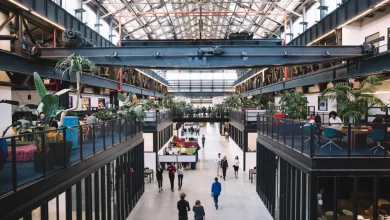 New Alt Protein and Bioinnovation Hubs Are Emerging From NYC to Israel