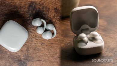 Sony LinkBuds Clip vs Sony LinkBuds Fit: Open vs idiosyncratic