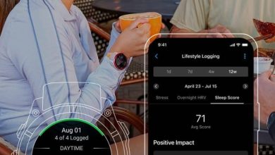 Garmin Q1 2026 update