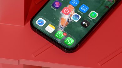 iPhone Home Screen showing WhatsApp and WhatsApp Business