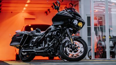 12 Of The Most Comfortable Harley-Davidson Bikes Riders Say Are Best For Cruising