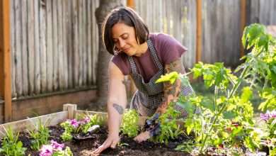 3 Ryobi Garden Tools You Probably Didn't Know Existed