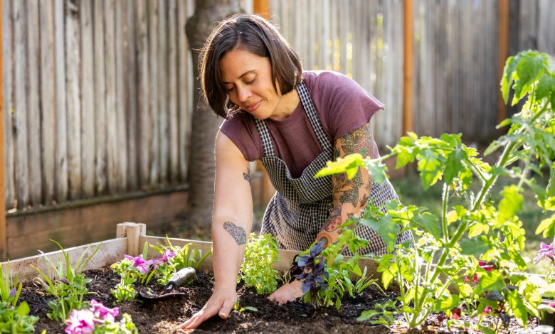 3 Ryobi Garden Tools You Probably Didn't Know Existed