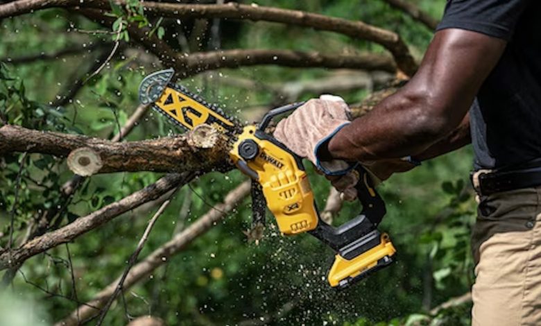 5 Ace Hardware Gets Deep Discounts and Freebies Through March 2026