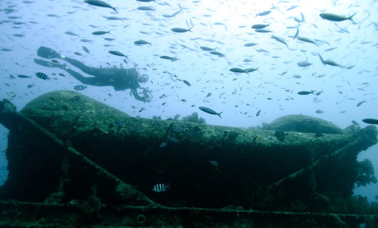 Bombs Sunk This Ship In WWII - Now It's A Growing Underwater Zoo