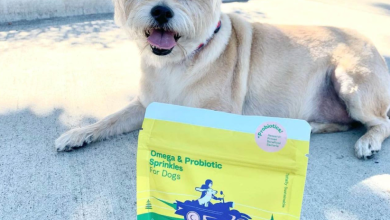 CULT Raises Assets From Cultured Meat Creation to Pet Food Startup Because Animals, New Investment By Marc Lustig