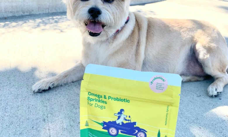 CULT Raises Assets From Cultured Meat Creation to Pet Food Startup Because Animals, New Investment By Marc Lustig