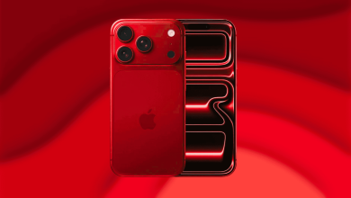 Coffee Brown, Purple, Burgundy, Deep Red