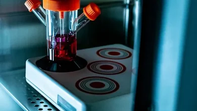 Extracellular to Offer UK's First Low-Cost License-Free Cell Bank for Farmed Meat