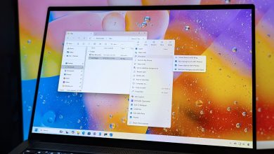 Files update v4.0.28 improves Windows 11 context menus