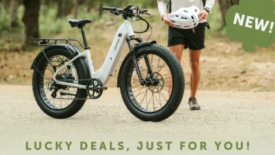 Find the luck of the Irish with Lectric's St. Day sale. Paddy and up to $694 in bike savings from $799