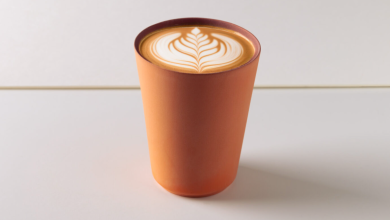 GaeaStar Seeks to Solve the Single-Use Plastic Problem with an Ancient Indian Solution: Clay Lips