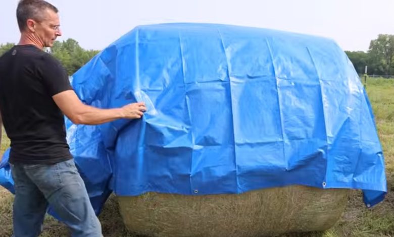 How Do Harbor Freight Tarps Stack Up Against The Competition? This Test Found