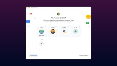 Profiles in Google Chrome