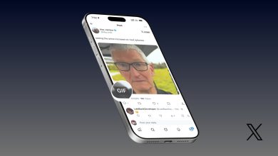 GIF on X on iPhone