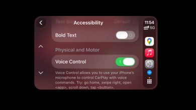 Voice Control in CarPlay settings