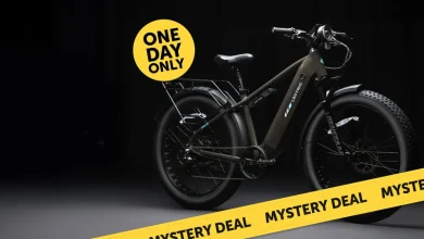 Lectric's one-day Friday the 13th Blackout flash sale select increased e-bike savings + bonus mystery gift from $899