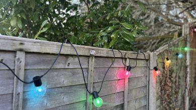 Philips Hue Festavia Globe Outdoor String Lights review: smart high-end lights designed for outdoor ambience