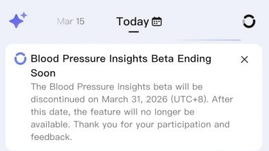 RingConn blood pressure beta
