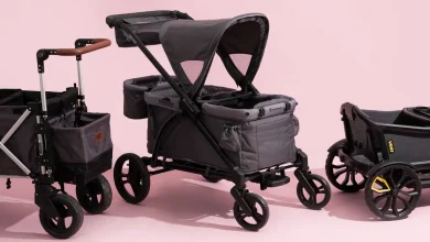 The 3 Best Cars of 2026