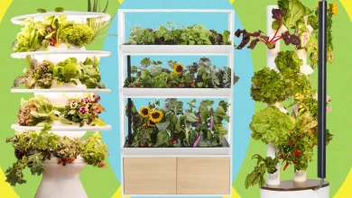 The Best Indoor Garden Plans: We've Been Testing All Year (2026)