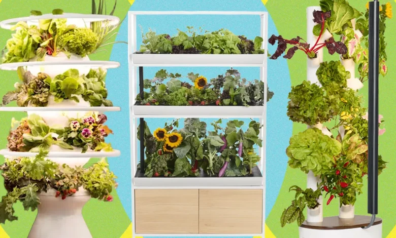 The Best Indoor Garden Plans: We've Been Testing All Year (2026)