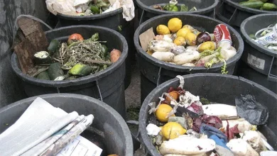The Home Is Still the Largest Source of Food Waste (44M Tons), and It's Getting Worse