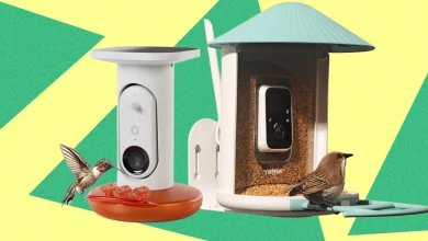 The Smart Bird Feeder Everyone's Talking About (and Actually Buying) (2026)