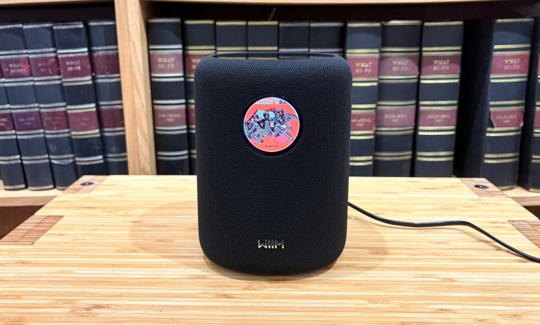 WiiM Sound wireless speaker in black on wooden hi-fi rack in front of bookcase