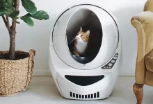 Whisker's Litter-Robot 3 Connect is the safest + most affordable litter option for as low as $499.