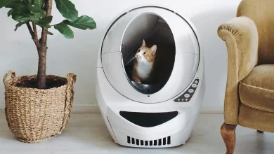 Whisker's Litter-Robot 3 Connect is the safest + most affordable litter option for as low as $499.