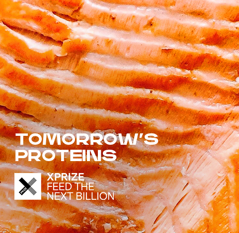 XPRIZE Announces Winners of $15M Competition to Develop More Sustainable Proteins