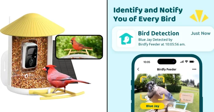Grab this smart 2K AI bird feeder for 22% off this spring

