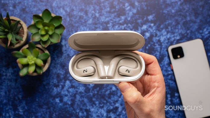 Viaim OpenNote earbuds in case.