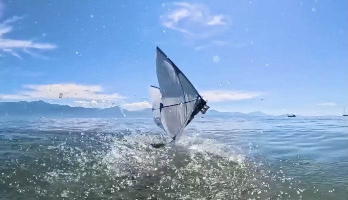 Puffin-Inspired Robot Flies Swims Robotics